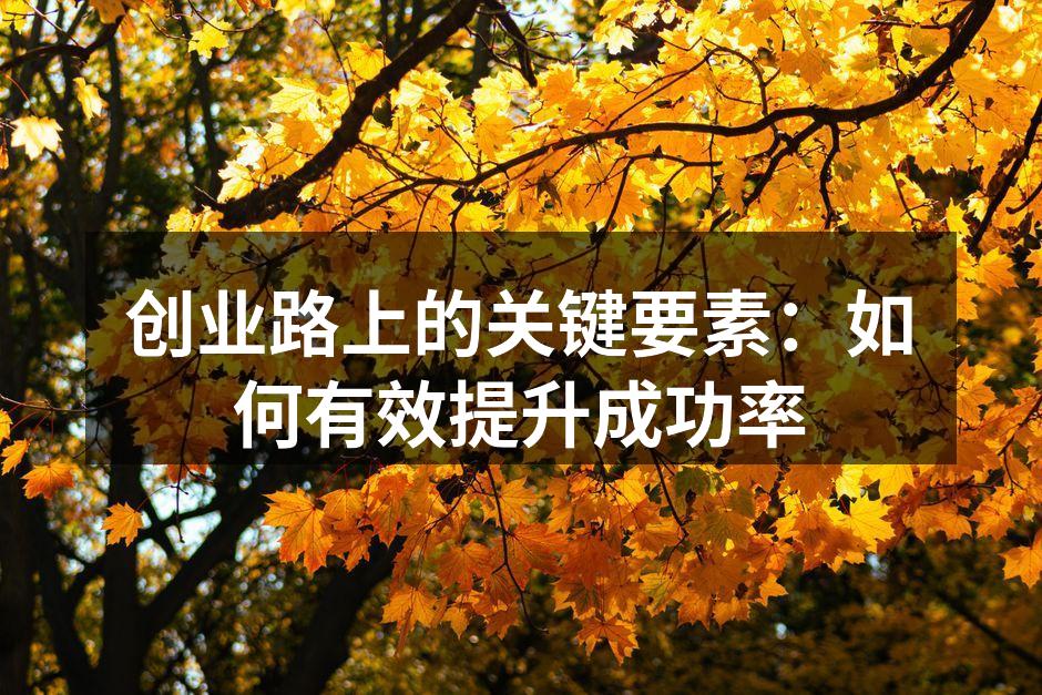 创业路上的关键要素：如何有效提升成功率
