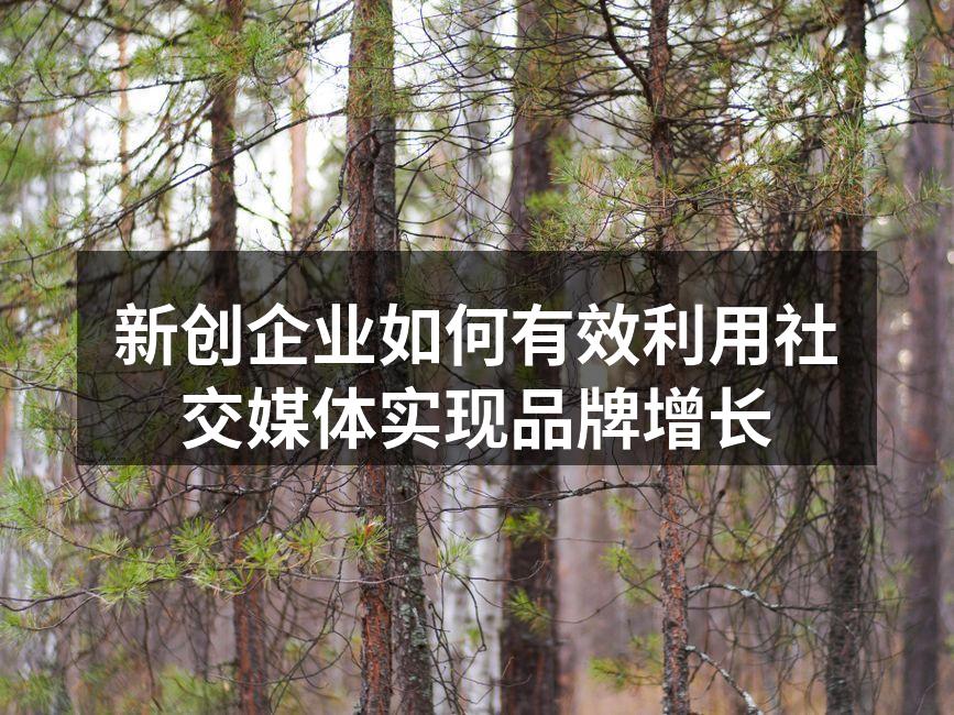新创企业如何有效利用社交媒体实现品牌增长