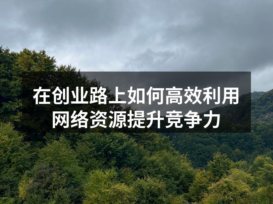 在创业路上如何高效利用网络资源提升竞争力